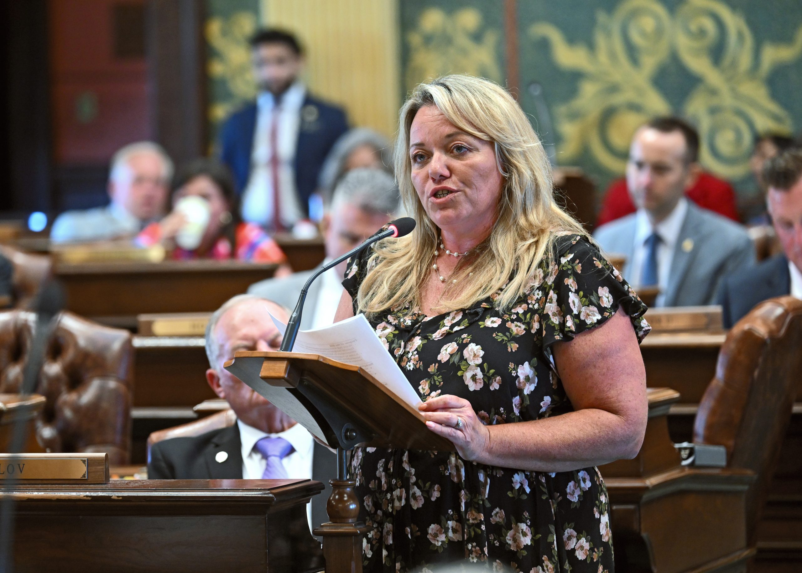 Michigan House Republicans