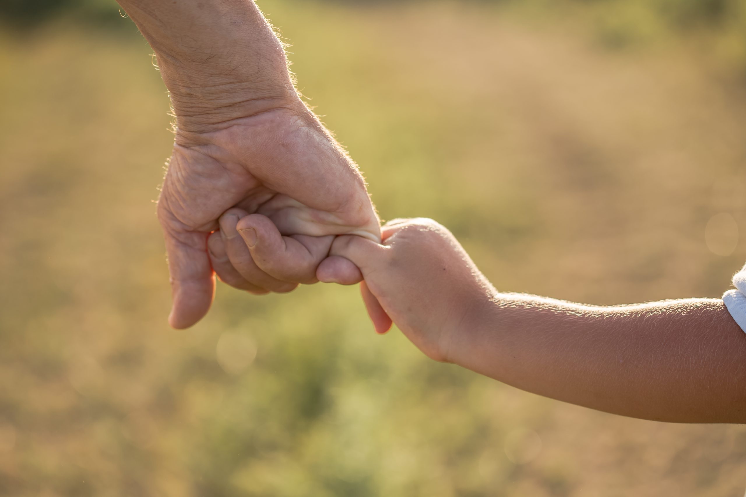 Michigan House Republicans